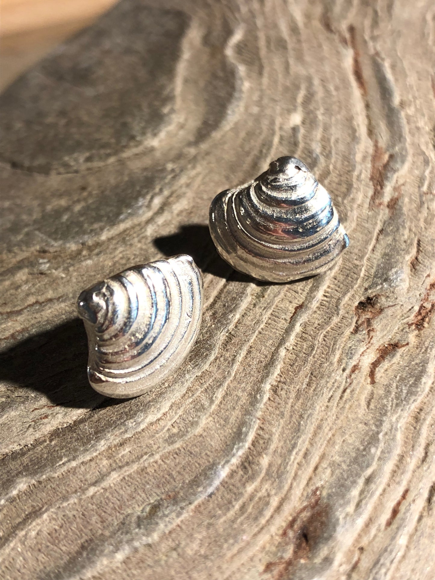 Bigbury shell studs.