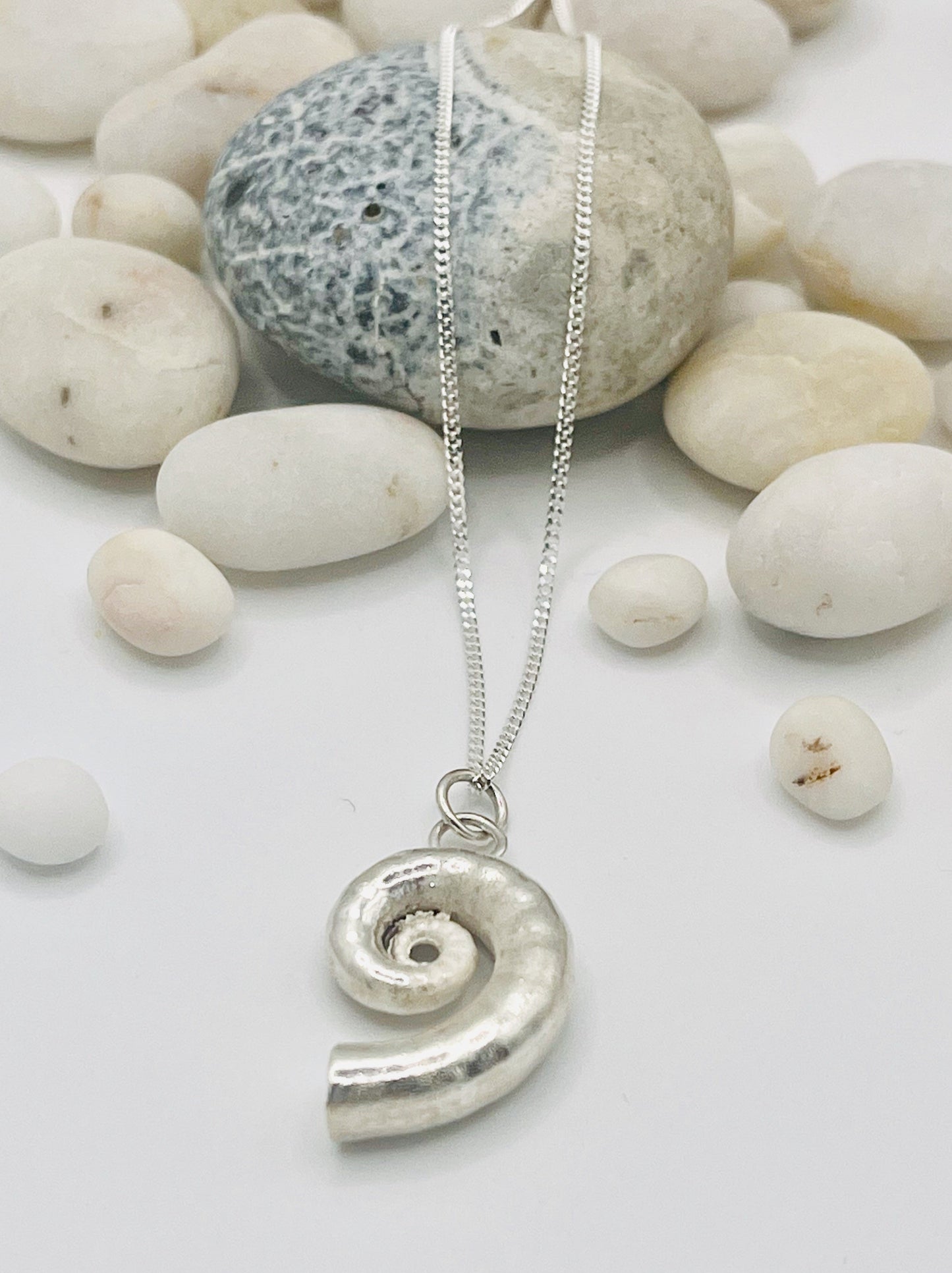 Silver Ammonite shell necklace.