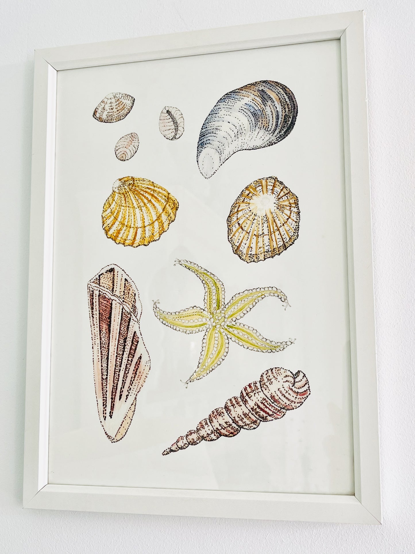 Seashore Collection card