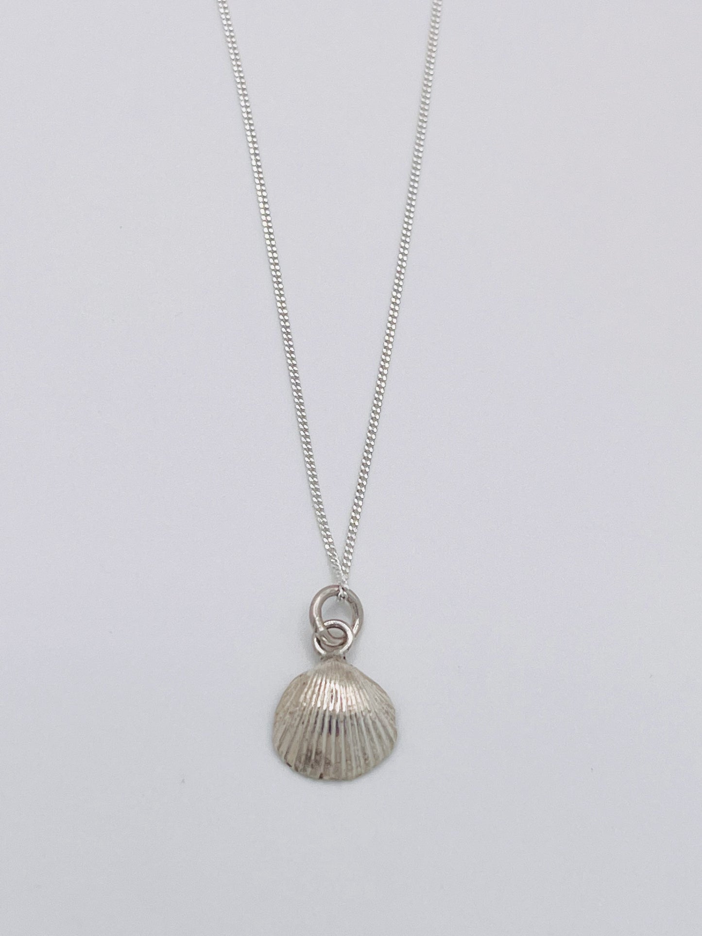Silver scallop necklace.