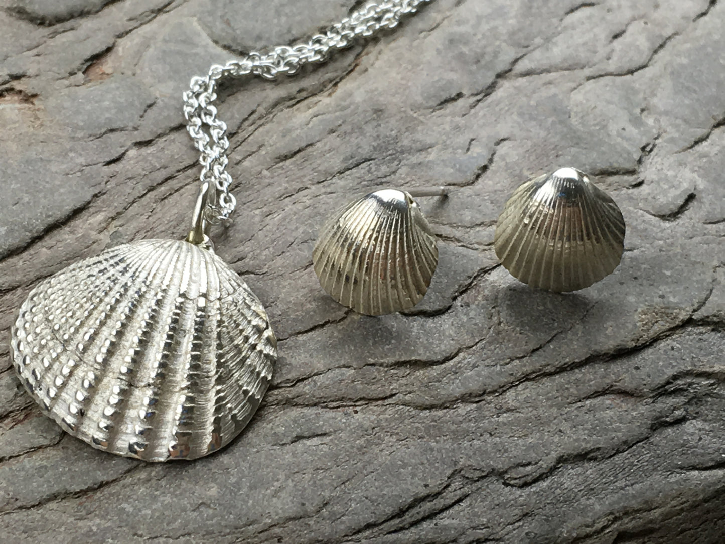 Silver scallop shell earings.