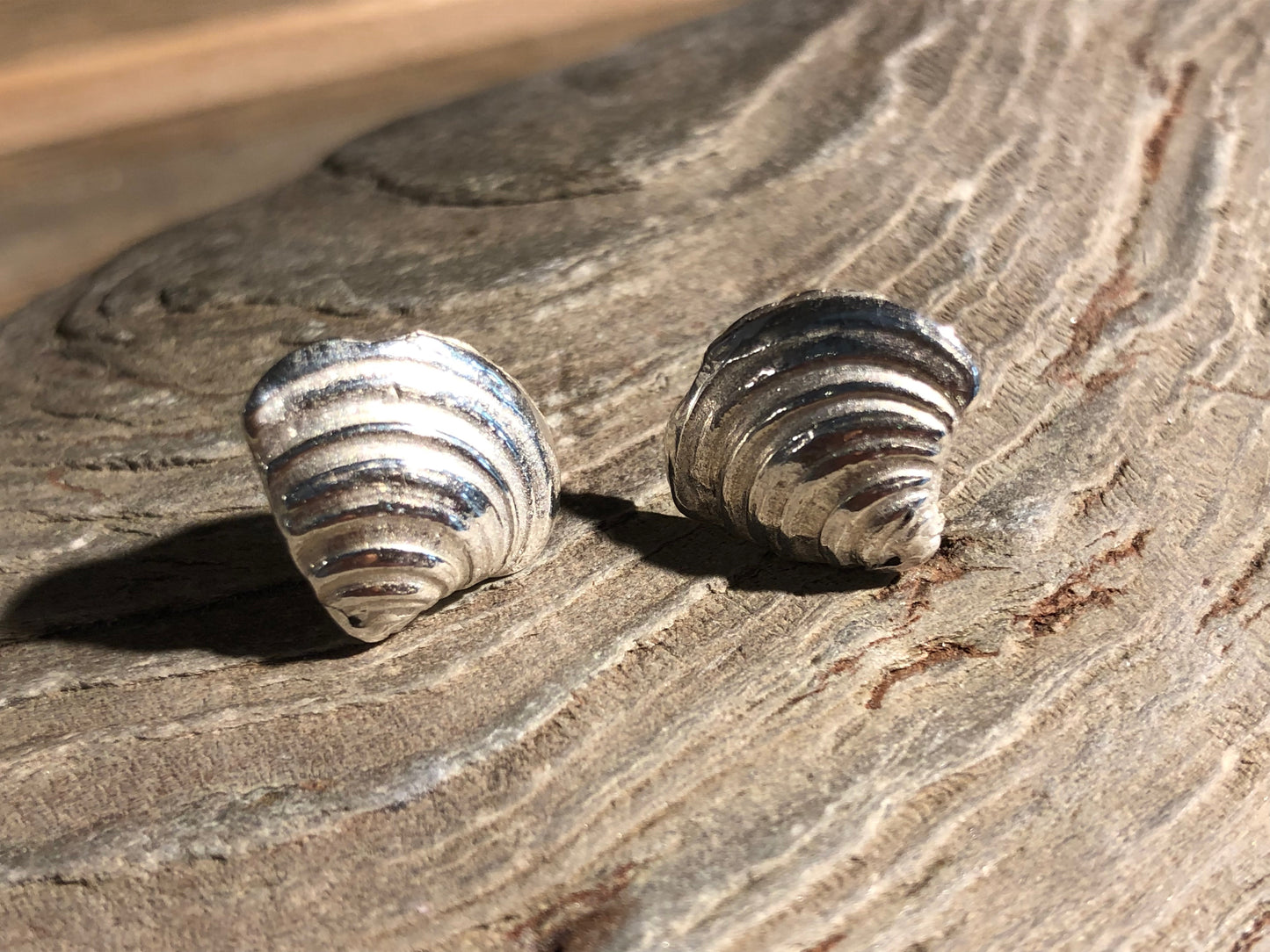 Bigbury shell studs.