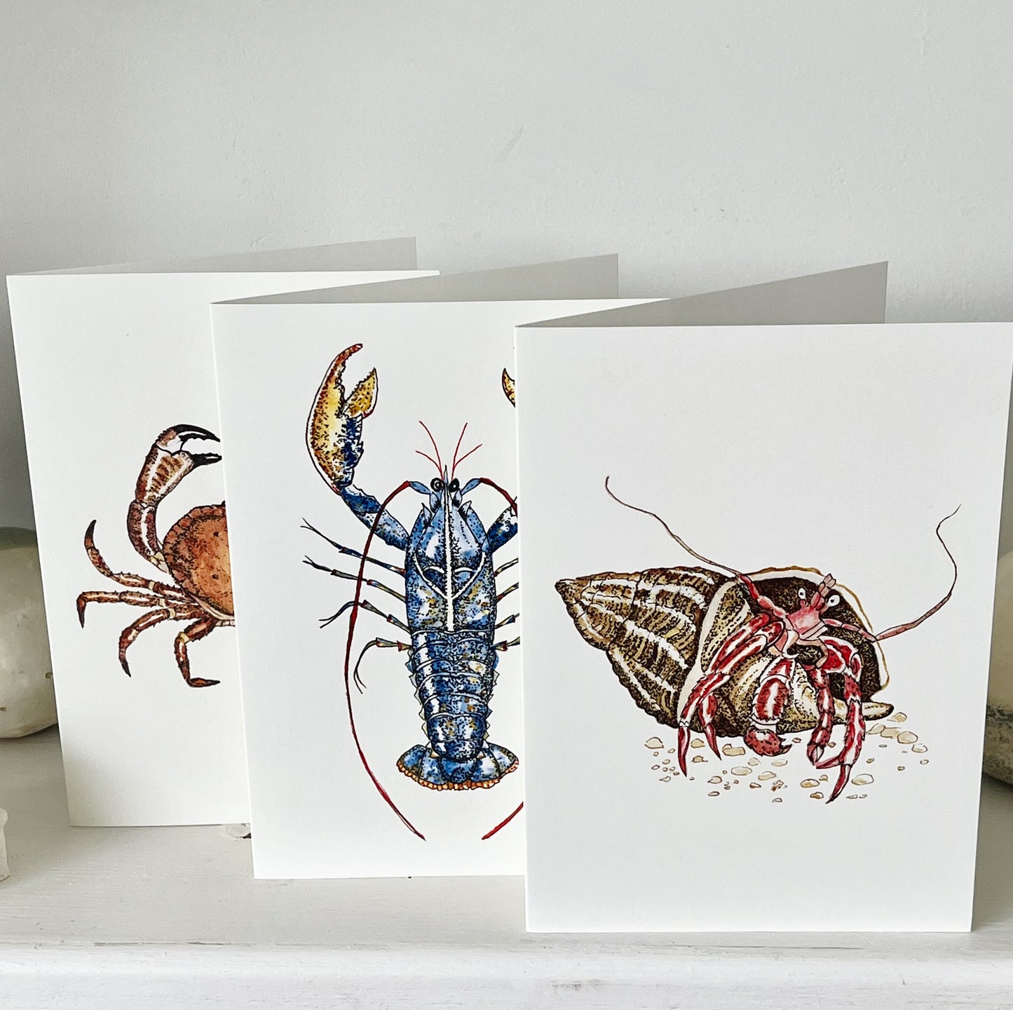 Hermit Crab Greetings Card.