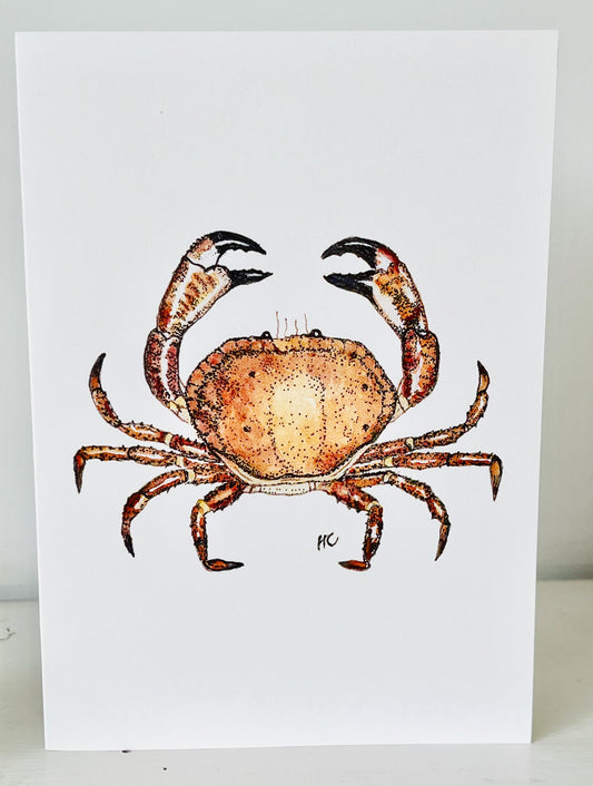 Salcombe Crab Greetings Card.
