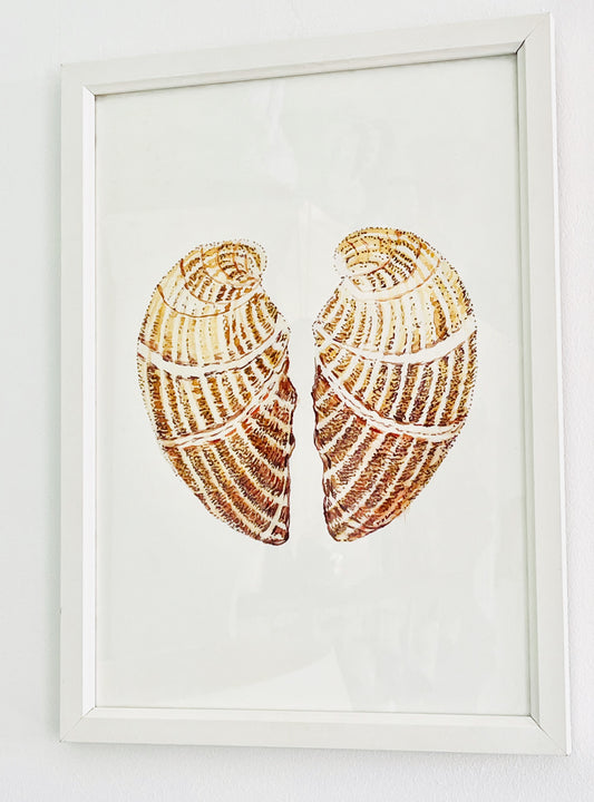 Heart of shells print.