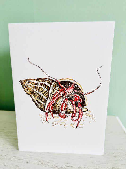 Hermit Crab Greetings Card.