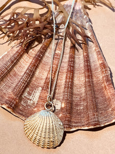 Solid Silver Cockle shell necklace.