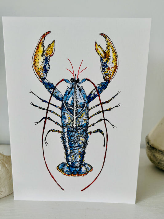 Lobster Greetings Card.