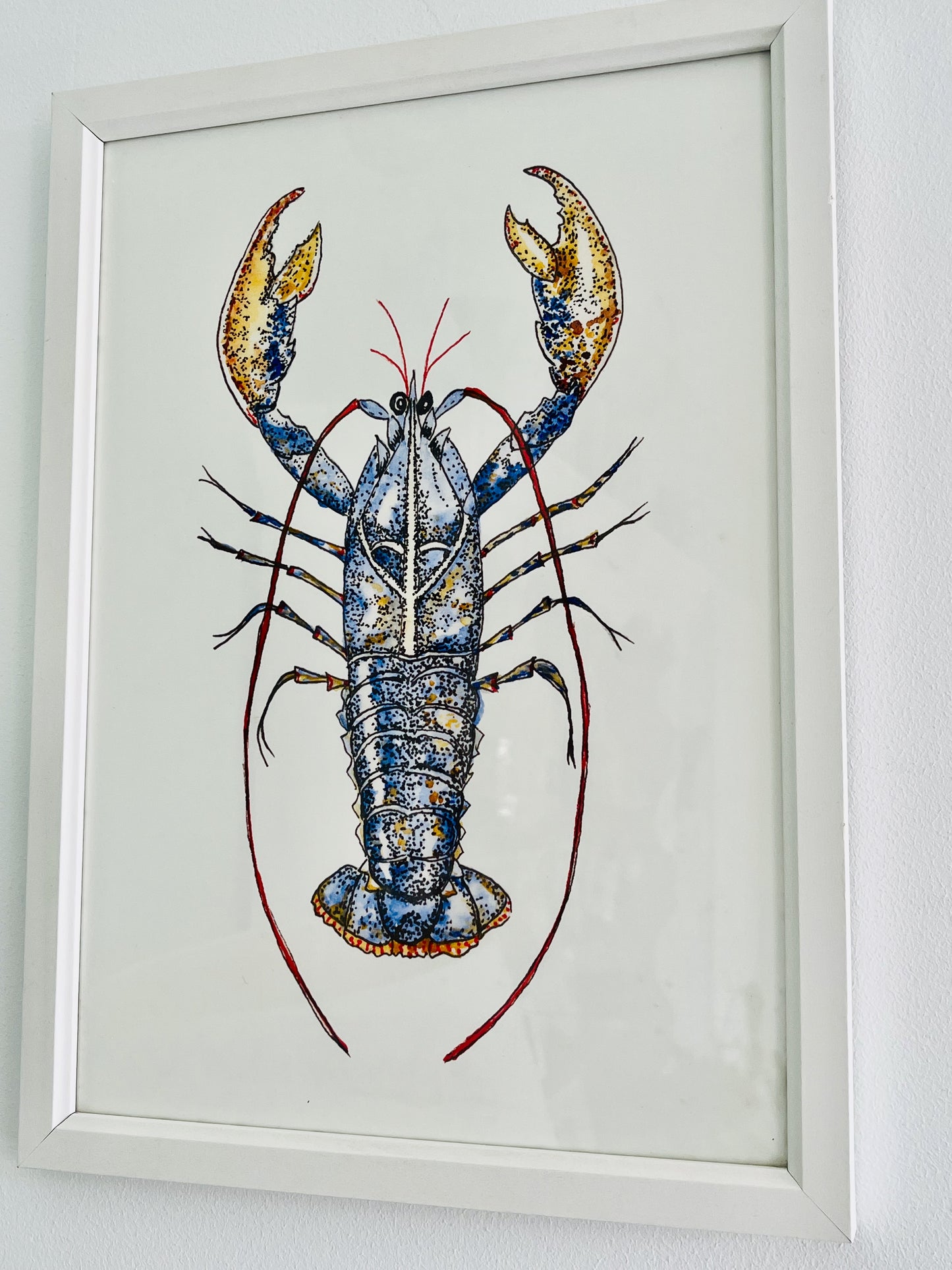 Lobster Print.