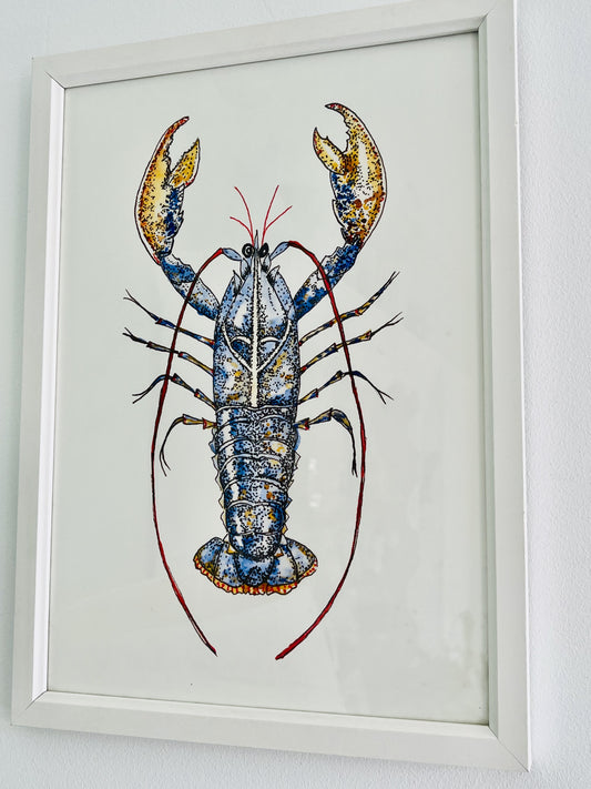 Lobster Print.