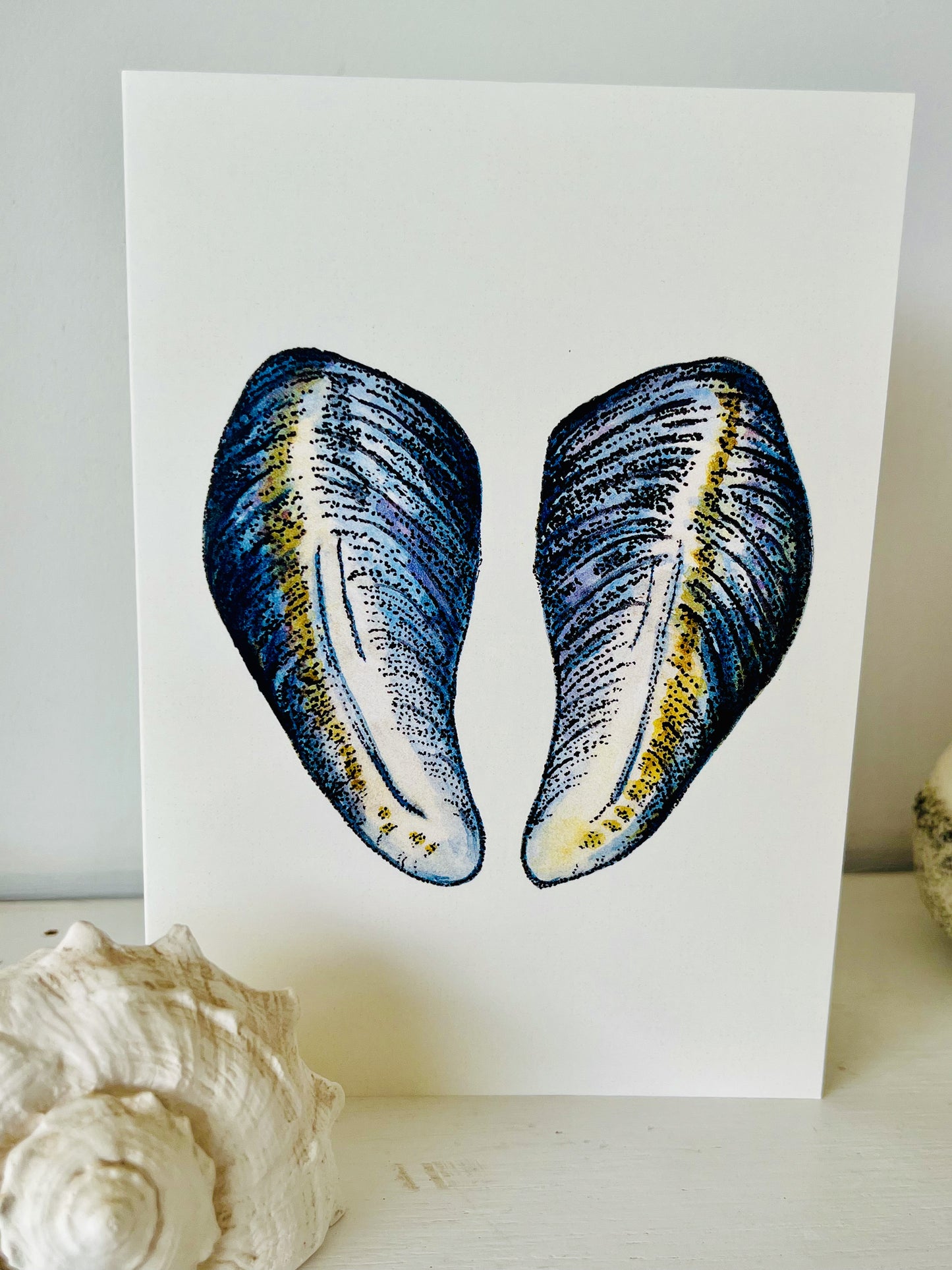 Shells greeting cards set of three.