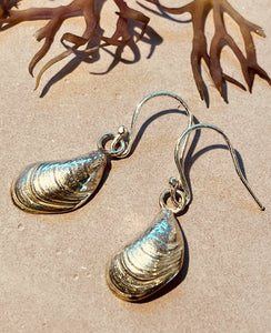 Silver mussel shell earings