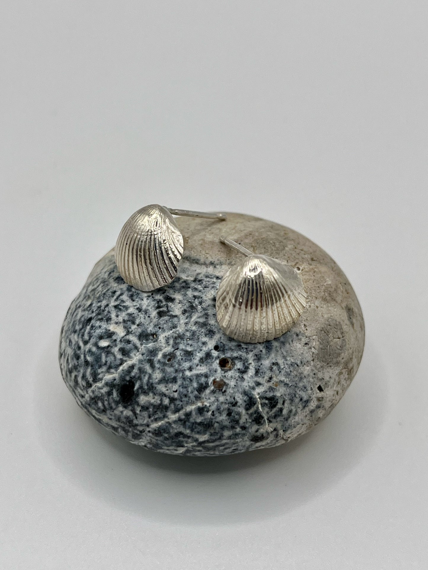 Silver scallop shell earings.