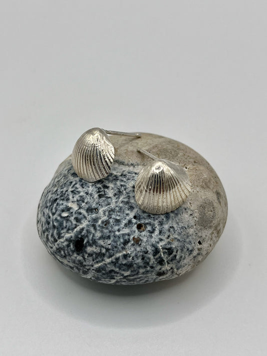 Silver scallop shell earings.