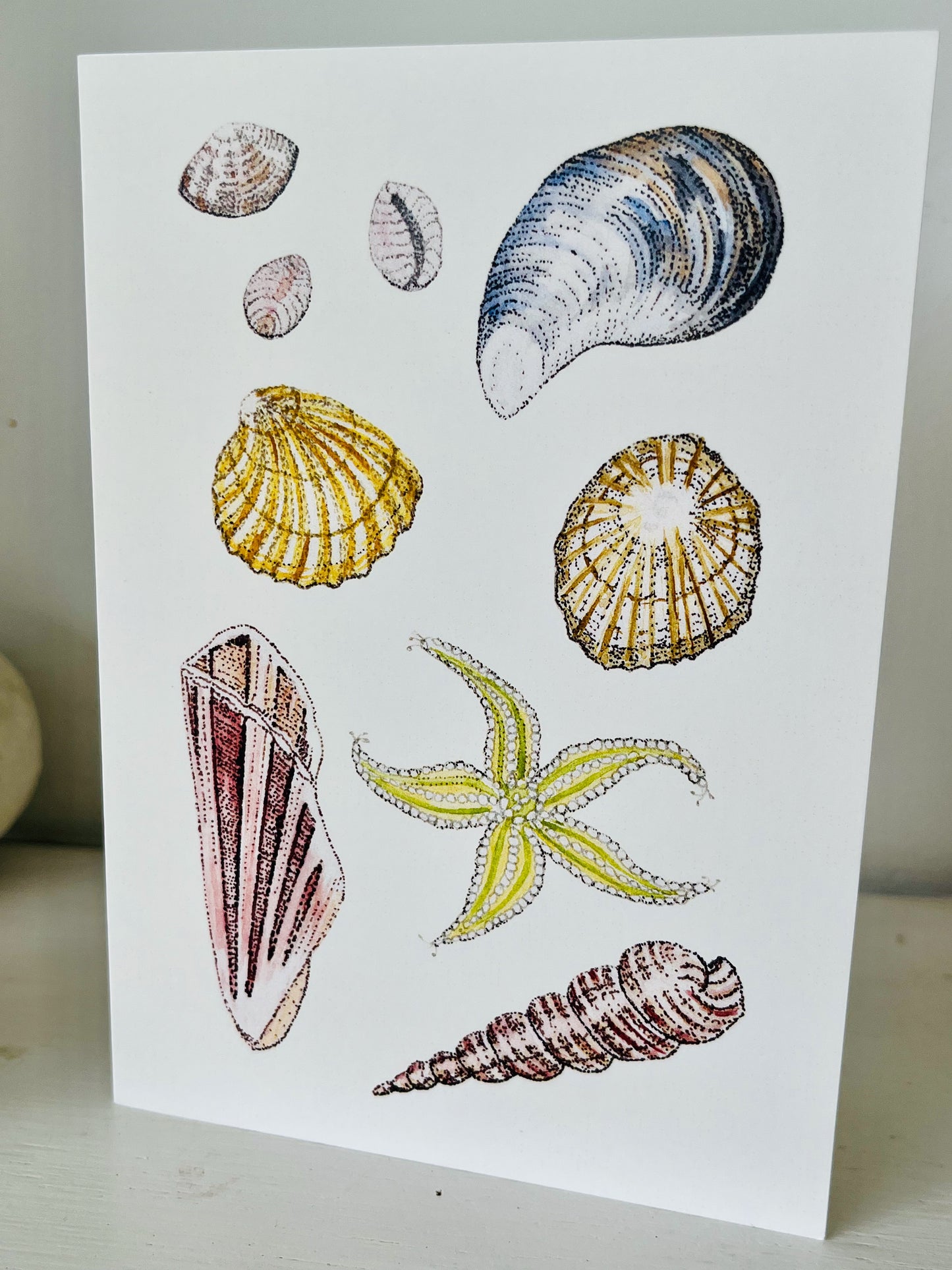 Seashore Collection card