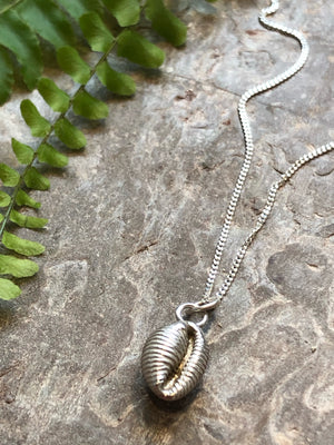 Solid Silver Cowrie Shell necklace.