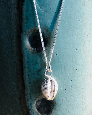 Solid Silver Cowrie Shell necklace.