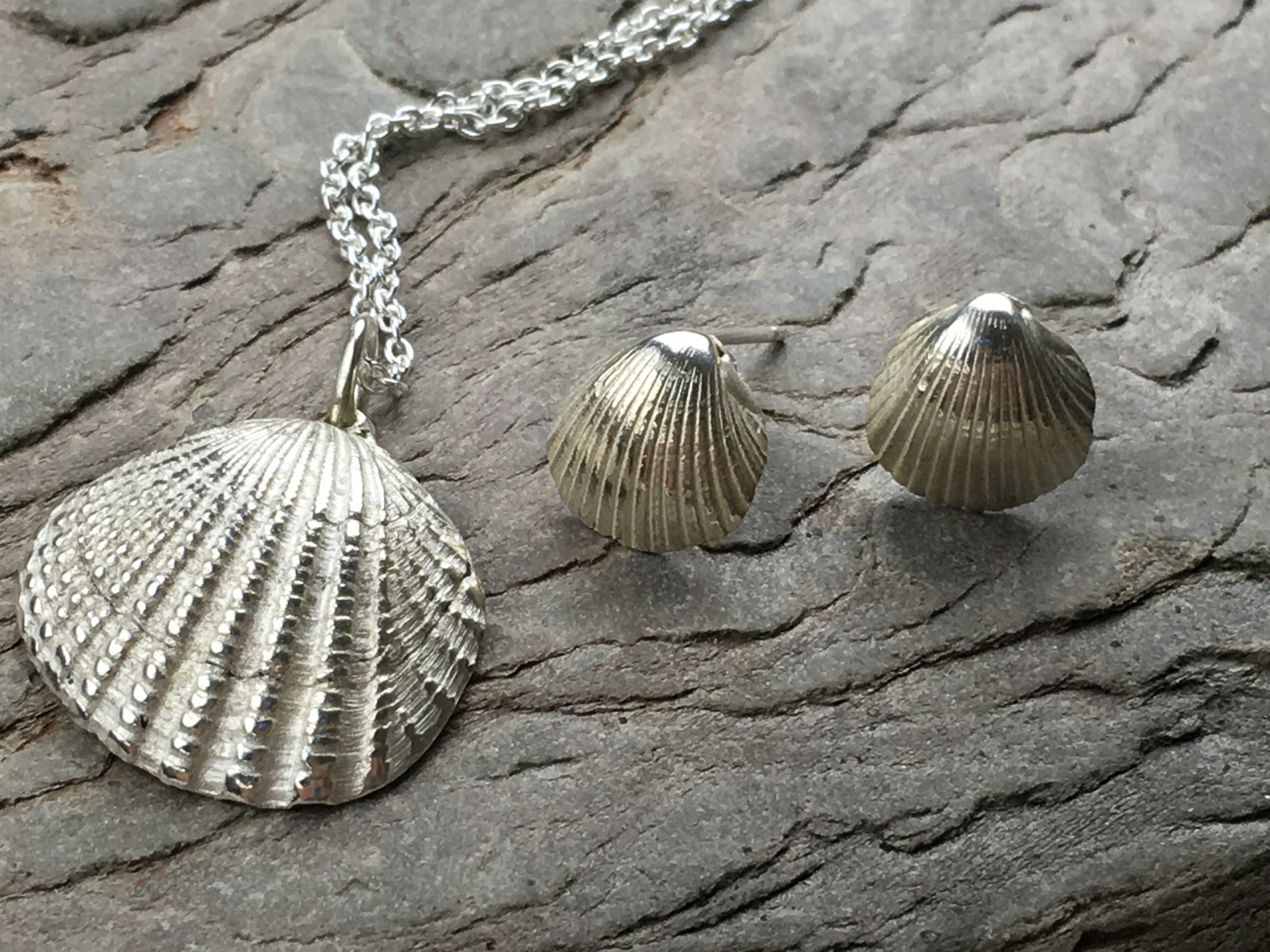 Solid Silver Cockle shell necklace.