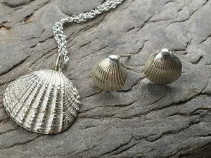 Silver Cockle shell stud earings.