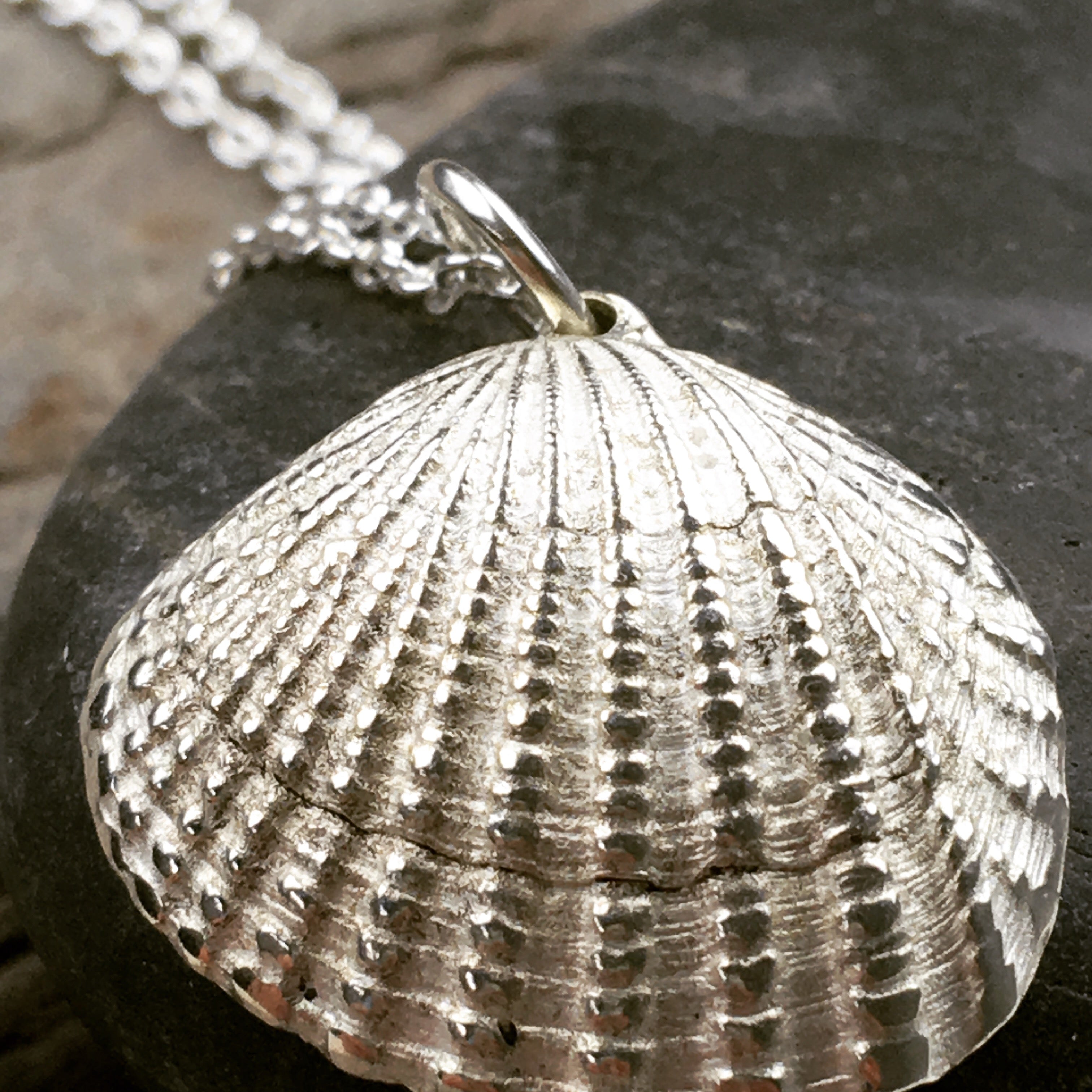 Solid Silver Cockle shell necklace.
