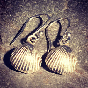 Silver cockle shell earings